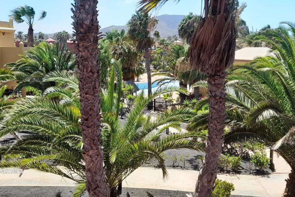 Apartment Cumbre Vieja Fuerteventura Корралехо Екстер'єр фото