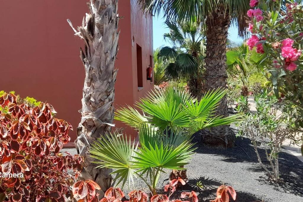 Apartment Cumbre Vieja Fuerteventura Корралехо Екстер'єр фото