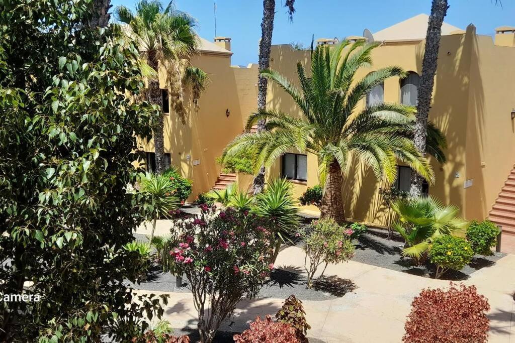 Apartment Cumbre Vieja Fuerteventura Корралехо Екстер'єр фото
